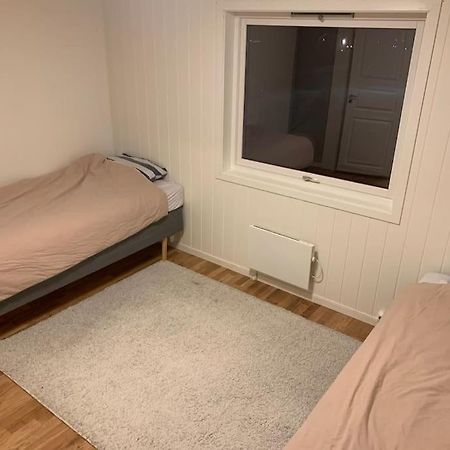 Fin Leilighet I Tromsdalen. Apartment Тромсьо Екстериор снимка