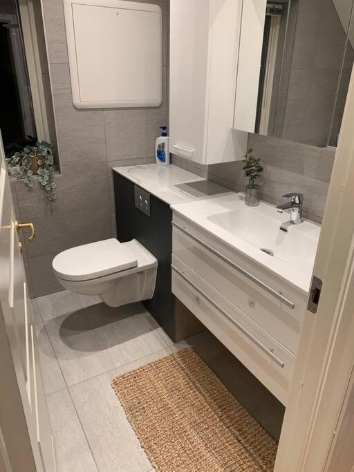 Fin Leilighet I Tromsdalen. Apartment Тромсьо Екстериор снимка