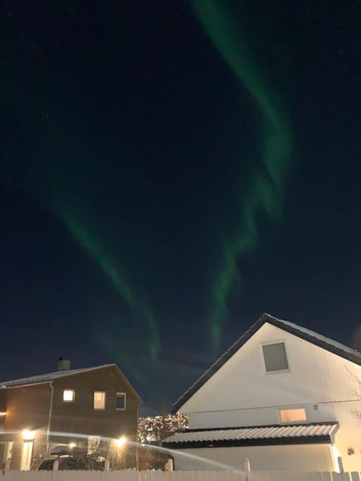 Fin Leilighet I Tromsdalen. Apartment Тромсьо Екстериор снимка